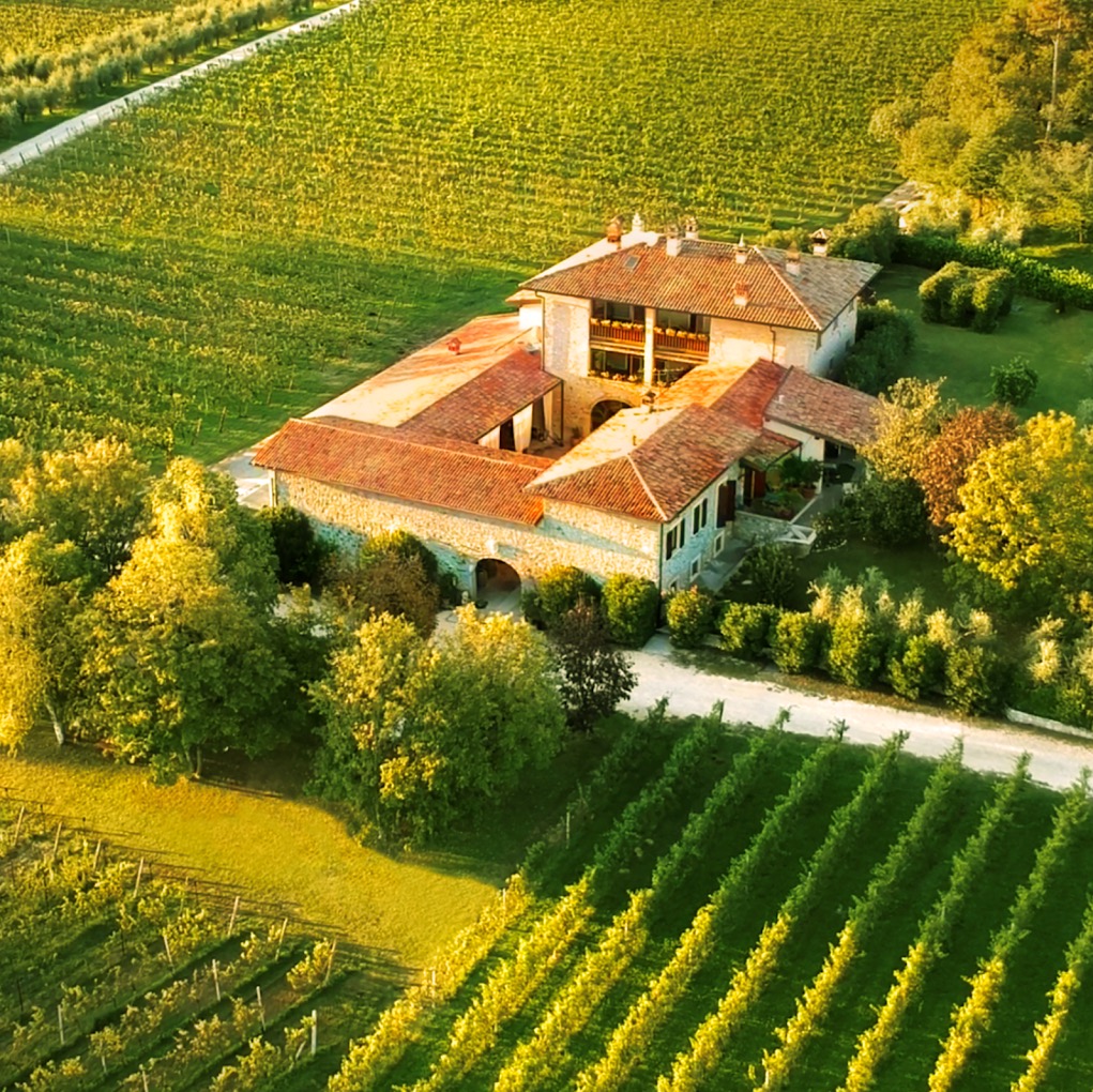Cantina vinicola
